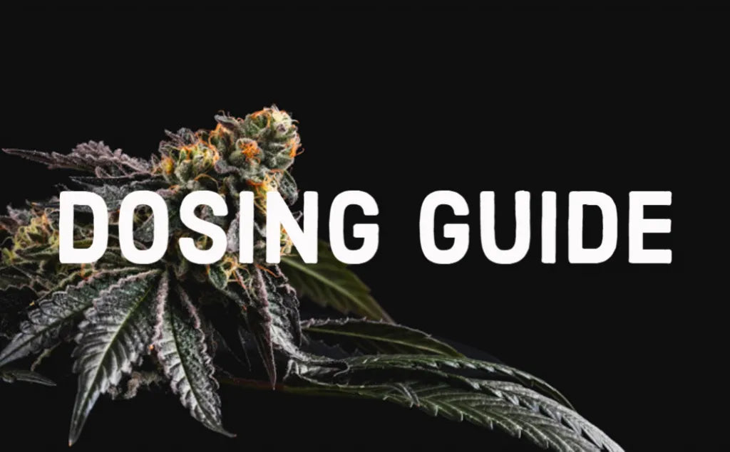 How Much Delta-8 THC Is Right for You? A Guide to Finding Your Ideal Dosage