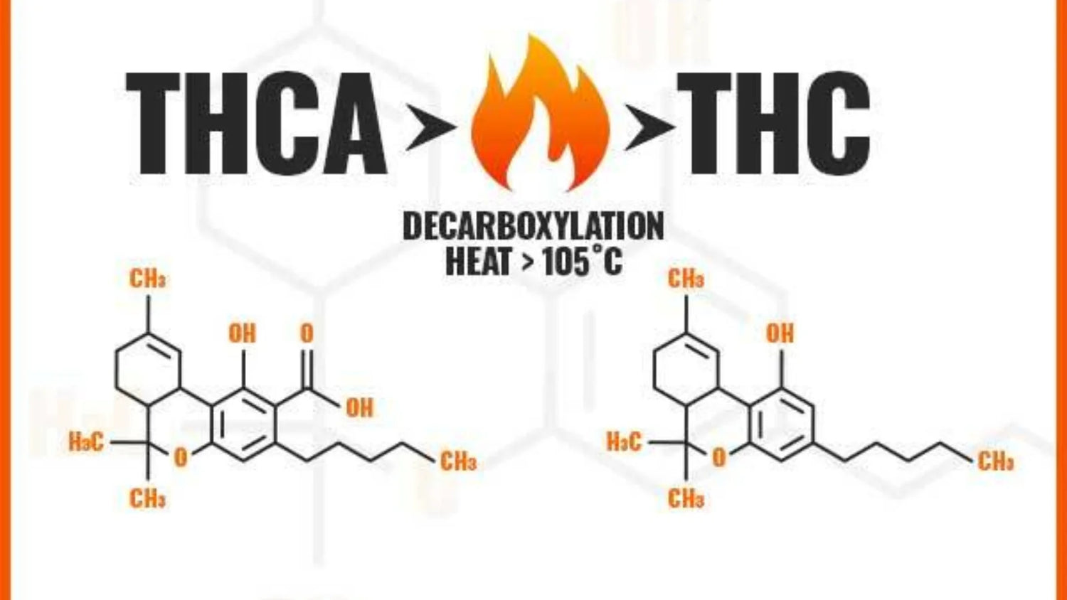 THCA vs. THC: Understanding the Differences