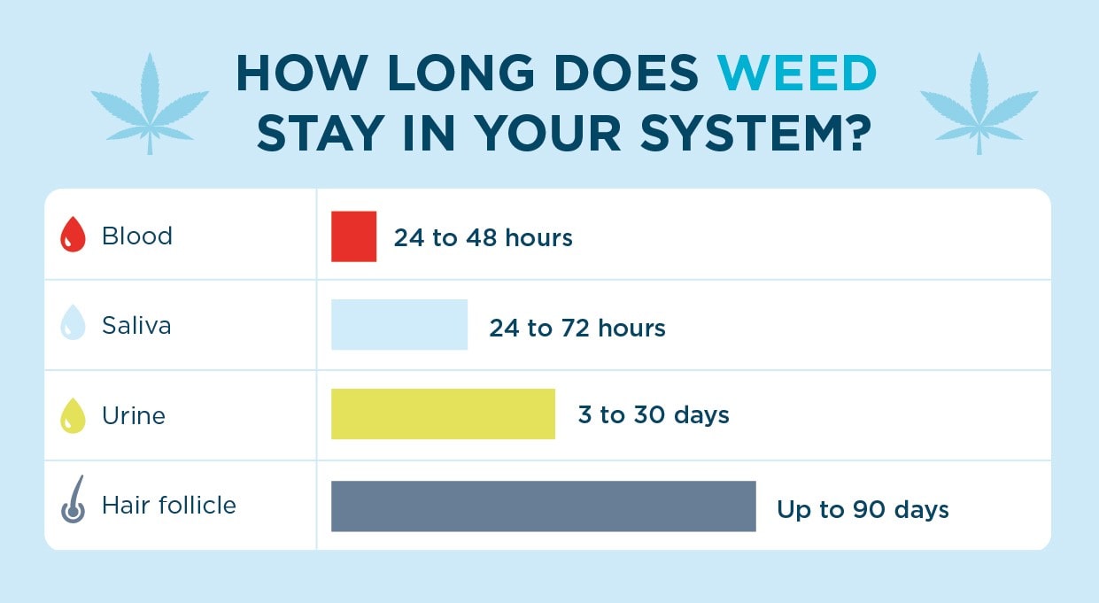How Long Does THC Stay in Your System?