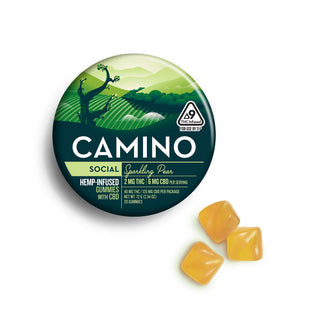 Camino Hemp Infused Gummies