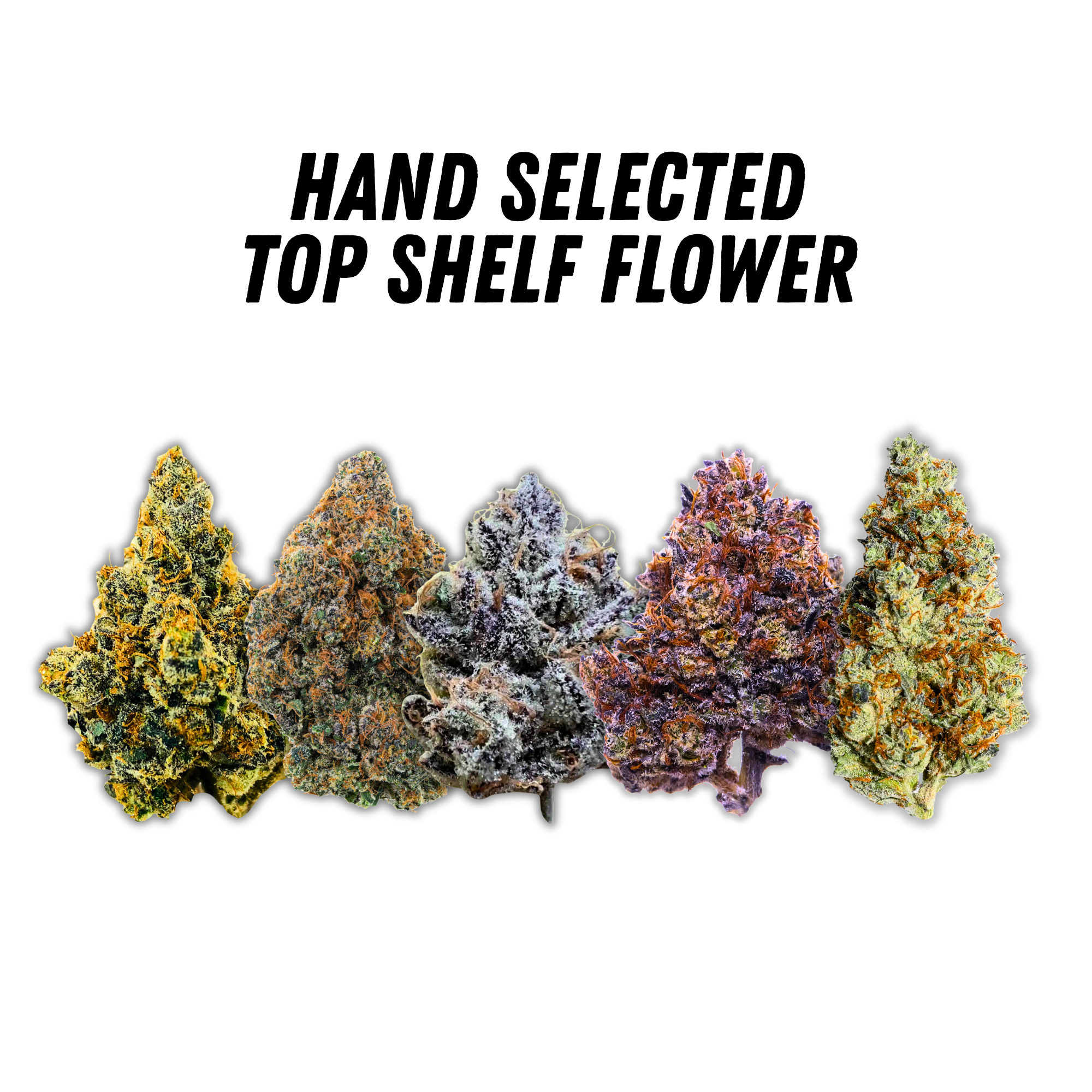 DubZotics Curated Bundle – 5x 1G Flower + 1.5G Signature Pre-Roll