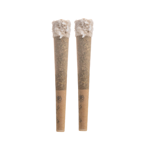 LOOPER THC-A LIVE ROSIN PRE ROLLS 2G