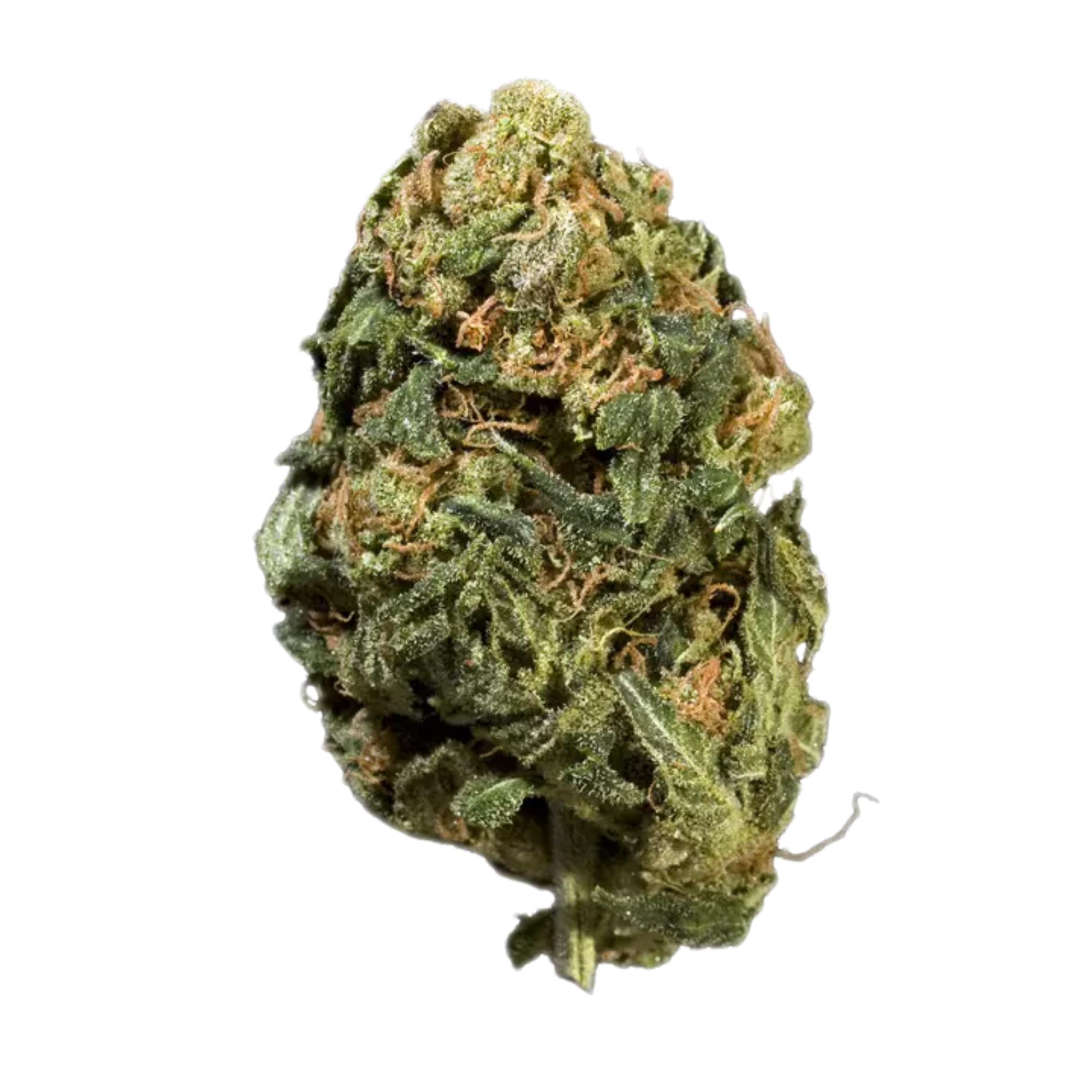 DubZotics Pineapple OG THC-A Flower