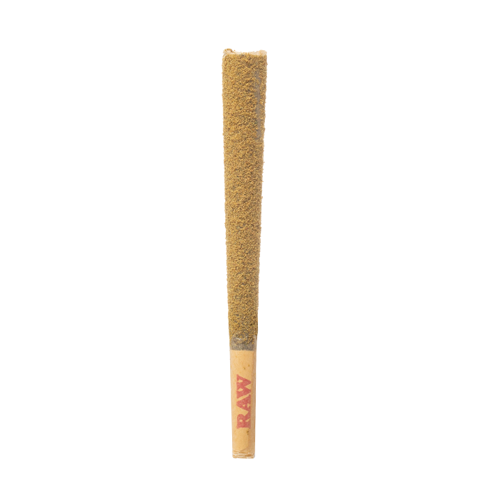 Pressure LA Kief Cannons THC-A Pre-Rolls 20G