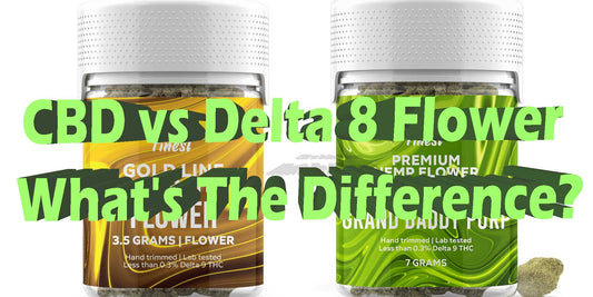CBD vs. Delta-8 THC: Understanding the Differences and Benefits