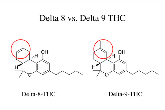 Understanding Delta-8 THC: What It Is and Why It’s Legal in Some States