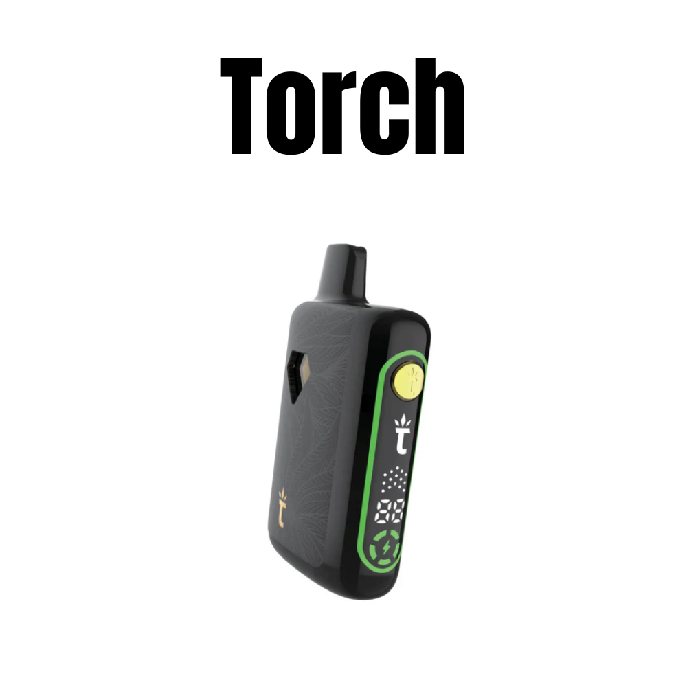 Torch