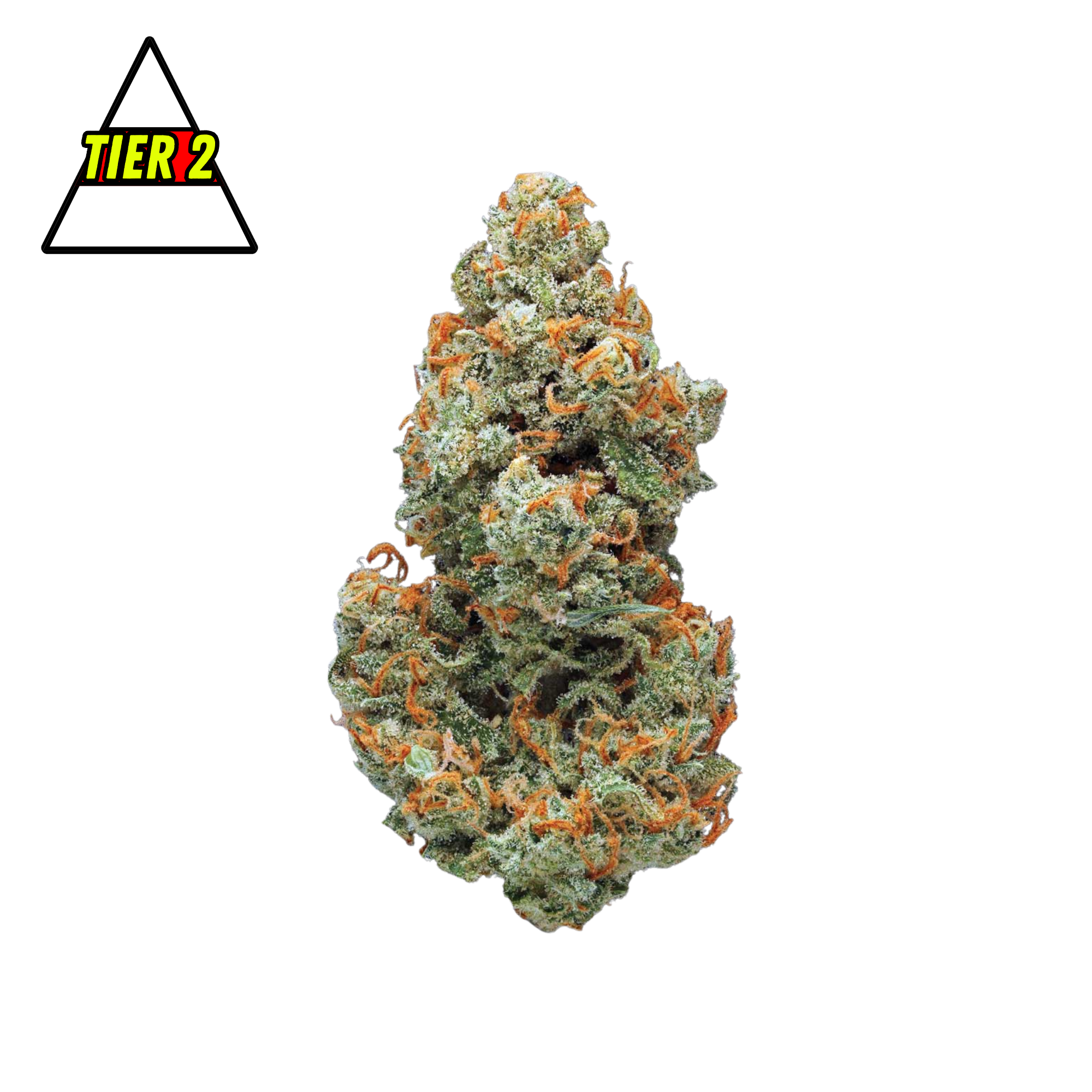 DubZotics Jack Herer THC-A Flower
