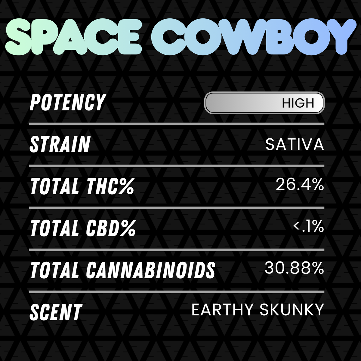 DubZotics Space Cowboy THC-A Flower | Sativa