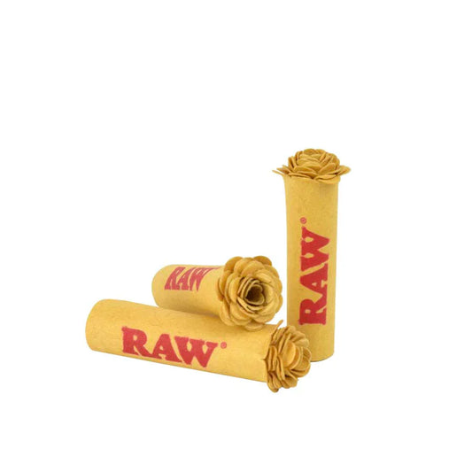 Raw Pre-Rolled Rose Tips - 6 Count Per Display