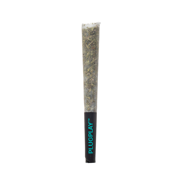 PLUGPLAY THCA Preroll 1G